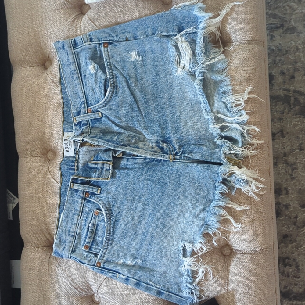 Agolde, Parker Vintage Cut Off Shorts, Swap Meet, size 30